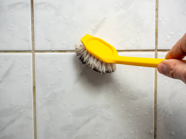 Best Black Mold Removal  in Sumner, IA