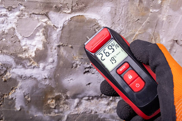 Best Local Mold Removal Service  in Sumner, IA