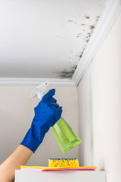 Water Damage Restoration in Sumner, IA